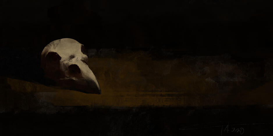 231- Raven Skull for husker's wife commission